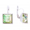 Vis earrings